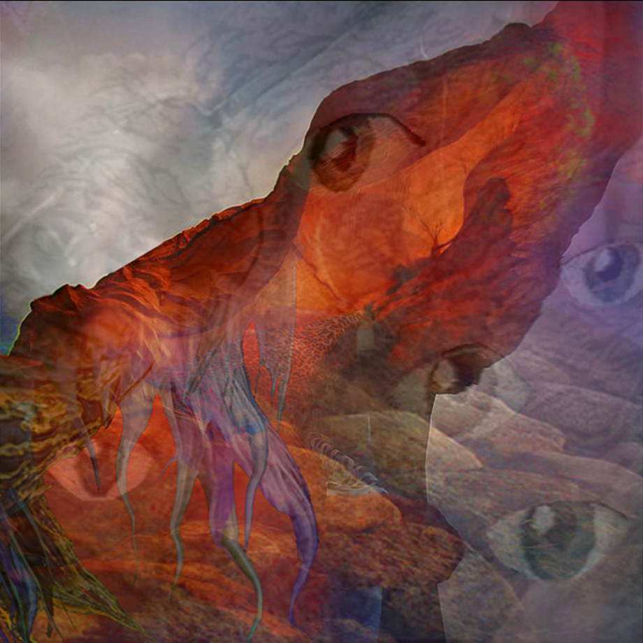 Click on image to view it in another window